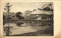 VINTAGE POSTCARD Glasgow Botanical gardens