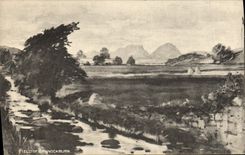 CPA Fiels Of Bannockburn