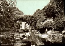 VINTAGE POSTCARD Jesmond Dene Newcastle One the Tyne