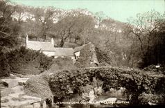 VINTAGE POSTCARD Jesmond Dene Old Newcastle Millet One the Tyne
