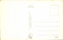 VINTAGE POSTCARD the Tirol