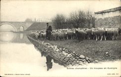 CPA Scenes Champetres Un Troupeau En Auvergne Berger Moutons