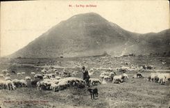 VINTAGE POSTCARD Puy De Dome Shepherd Sheep