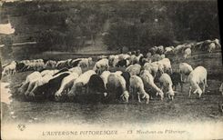 VINTAGE POSTCARD Picturesque Auvergne Monument With the Pasture