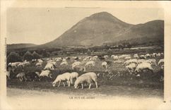 VINTAGE POSTCARD Puy De Dome Sheep