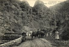VINTAGE POSTCARD Picturesque Auvergne Peasants on the Road in the mountain Cows Oxen Coach TOP