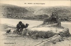 VINTAGE POSTCARD Mzab a Well Of irrigation Camel