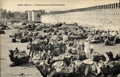 CPA Oudjda Emplacement des Caravanes Chameaux