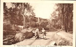 CPA Taza Entree De La Ville Et Les Remparts