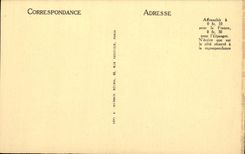 VINTAGE POSTCARD Gabes Camels At the edge of the Oasis