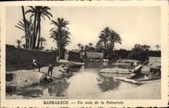 CPA Marrakech Un Coin de la Palmeraie