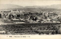 Panorama de Fes de la POSTAL de la VENDIMIA de Mellah