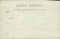 VINTAGE POSTCARD Studies of Palm trees