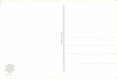 CPA Fantaisie Fleurs