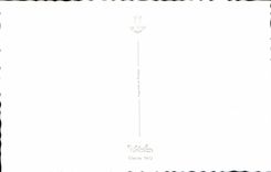 MODERN CARD Woman To take small a supper Glass Publicity Martini Alcohol