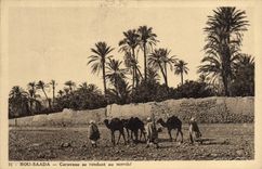VINTAGE POSTCARD Bou Saada Caravan Going To the Market Camels