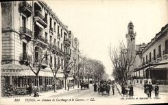 CPA Tunis Avenue De Carthage Et Le Casino