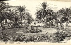 VINTAGE POSTCARD Tunis the Public garden Of the Residence