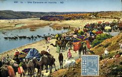 CPA Une Caravane En Marche Chameaux 