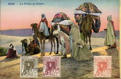 CPA La Priere Au Desert Chameaux
