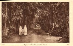 POSTAL Argel de la VENDIMIA un callejón del jardín de la prueba