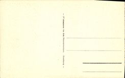 CPA Alger Une Allee Du Jardin d'Essai