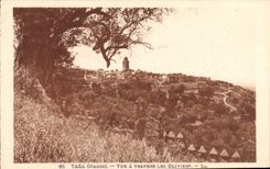 VINTAGE POSTCARD Taza Seen Through the Olive-trees