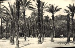 VINTAGE POSTCARD Hyeres the Garden has Denis Palmiers