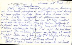 CPA Hyeres Le Jardin A Denis Palmiers 