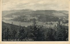VINTAGE POSTCARD Titisee MR. U Mr. MIT Feldberg