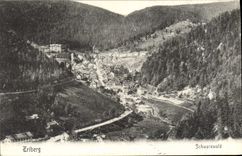 CPA Triberg Schwarzwald