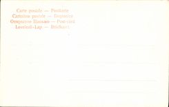 VINTAGE POSTCARD Schwarzwald Left Im Hollenthal