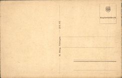 VINTAGE POSTCARD Wildbad Sommerberghotel