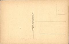 VINTAGE POSTCARD Burg Rheineck