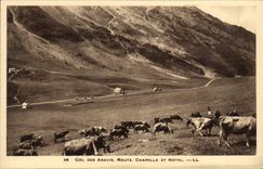 Collar de la POSTAL de la VENDIMIA de las vacas de la cámara acorazada y del hotel del camino de Aravis