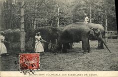CPA Paris Exposition Coloniale Les Elephants De l'Inde