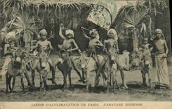 CPA Paris Jardin D'Acclimatation Caravane Indienne Anes Mules 