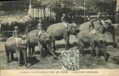 CPA Paris Jardin D'Acclimatation Caravane Indienne Elephant Elephants