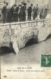 CPA Paris Jardin des Plantes Crue De La Seine L'ours blanc conte ses peines