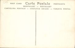 POSTAL París de la VENDIMIA el gran levantamiento de los osos polares de Seine del jardín botánico sorprendido en su hoyo