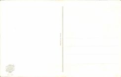 CPA Fantaisie Fleurs oiseau