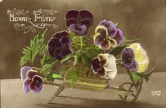 CPA Fantaisie Fleurs 