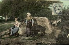 CPA Fantaisie Chevrieres Chevre