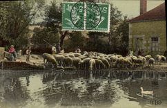 VINTAGE POSTCARD Fantasy Sheep with the pond Breeding