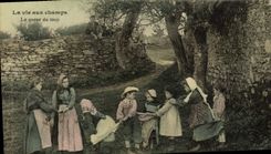 VINTAGE POSTCARD the life axu fields the tail of the Wolf Children Folklore