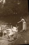 VINTAGE POSTCARD Fantasy Woman Swans