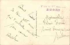 VINTAGE POSTCARD Fantasy Woman Swans