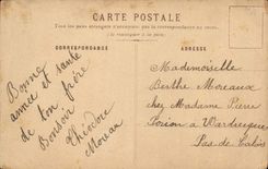 VINTAGE POSTCARD Brambles & Daisies Flowers