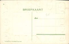 VINTAGE POSTCARD Rotterdam Eendrachtsweg Lion