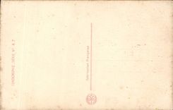 VINTAGE POSTCARD Fantasy happy life Dog Hens Pig